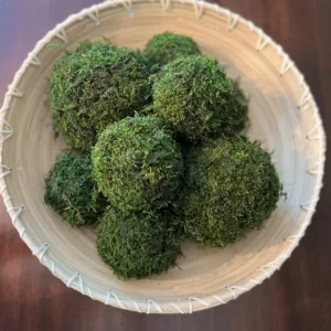 A wooden bowl filled with what appears to be seven green moss orbs.