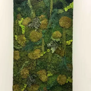 A wall covered in different shades of green moss and preserved plants.